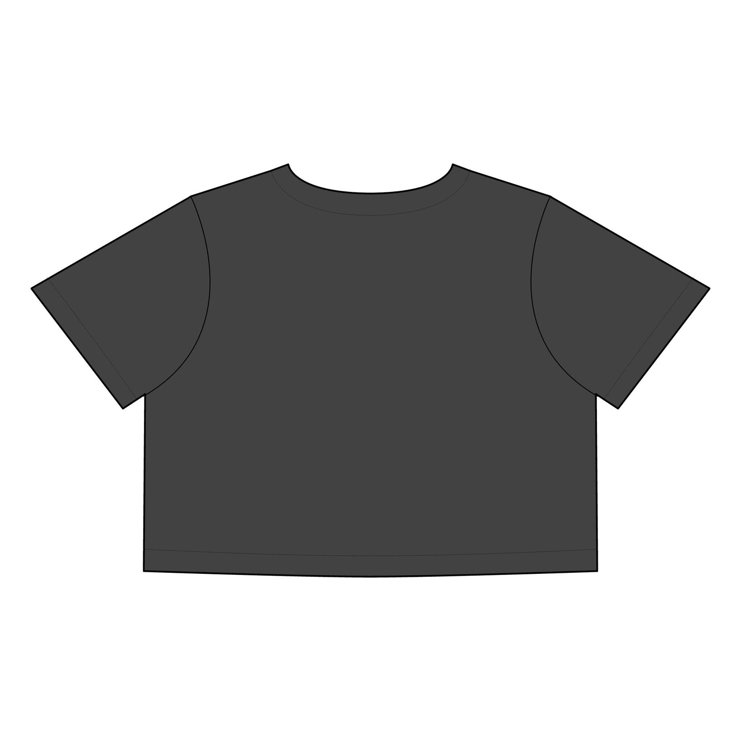 UD Heavy Faded Crop Tee