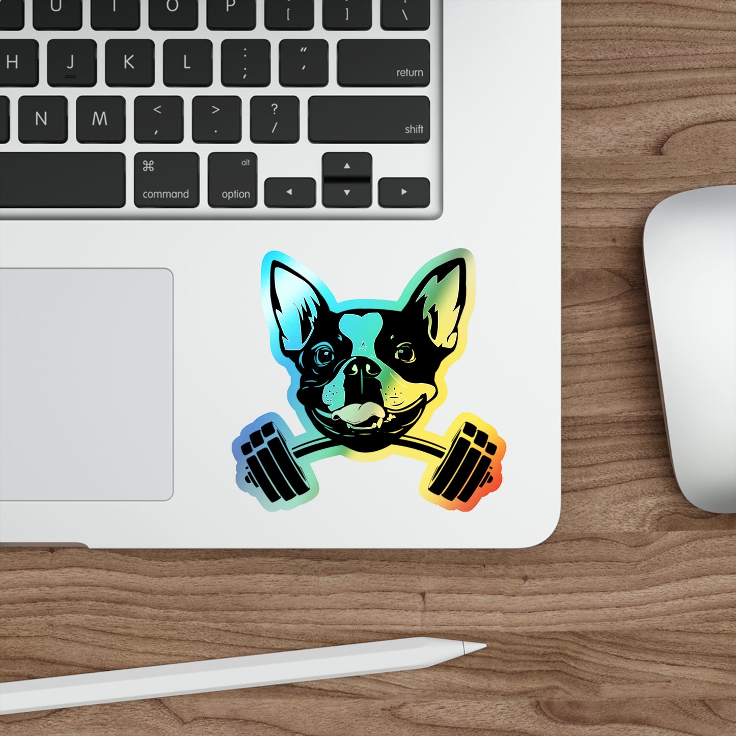 Finn Barbell Holographic Die-cut Stickers