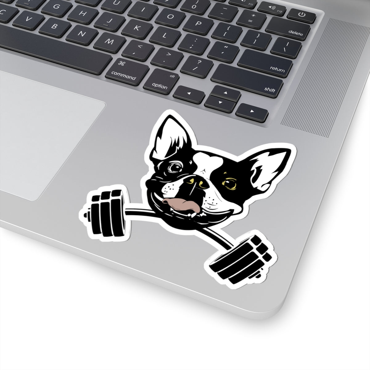 Finn Barbell Kiss-Cut Stickers